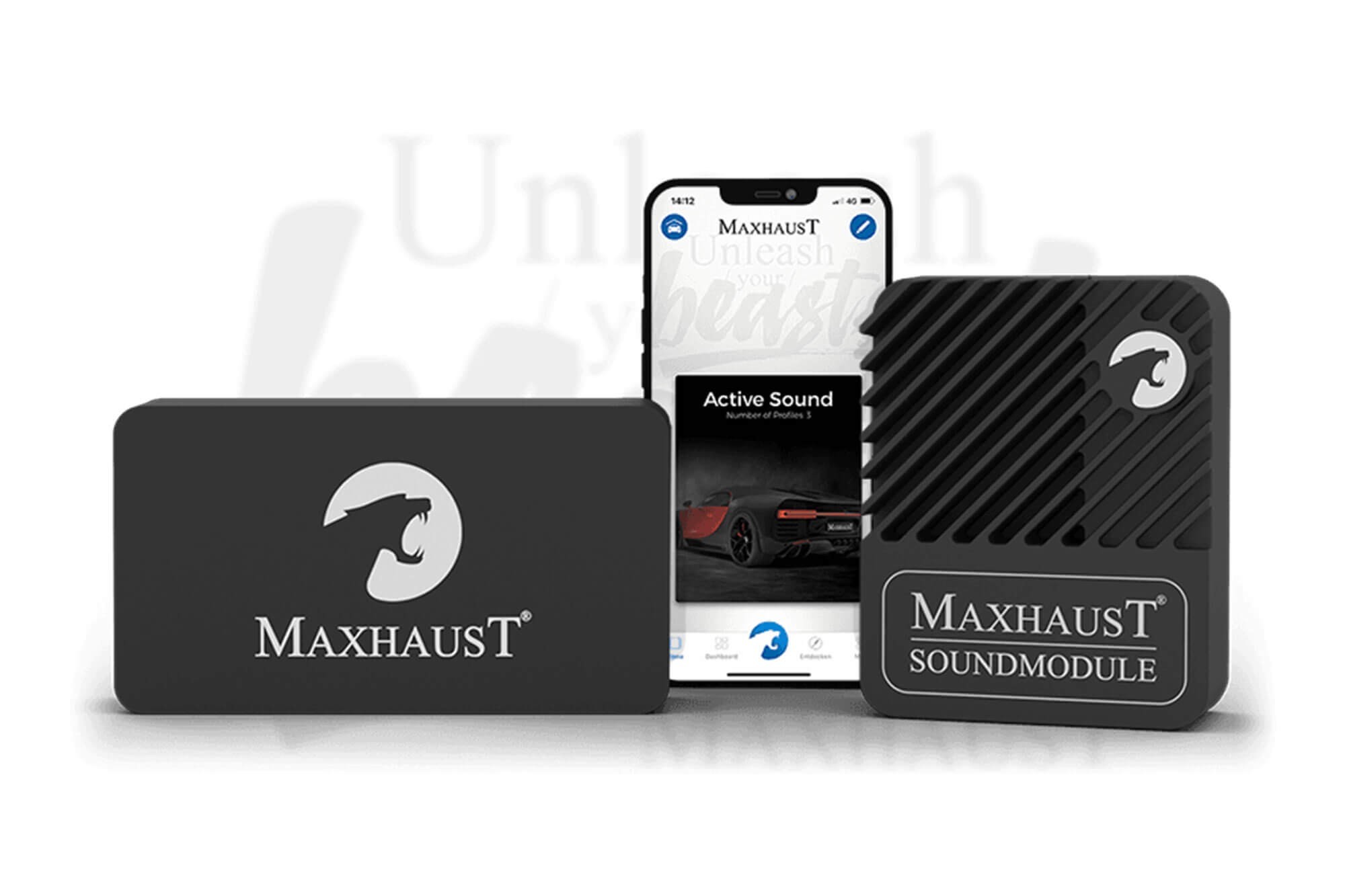 Конверсия на фабрична озвучителна система към MaxhausT Active Sound v4