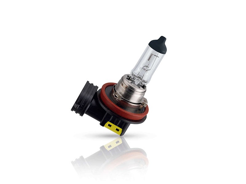 Халогенна крушка Philips H11 LongLife EcoVision12V, 55W, PGJ19-2, 1 брой