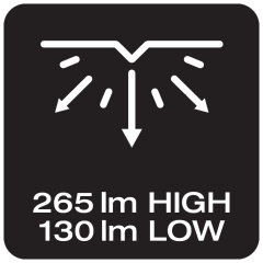 250 Lumen